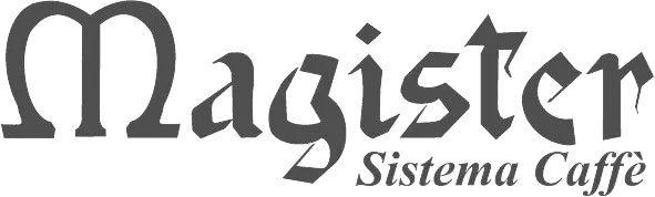 ремонт Magister